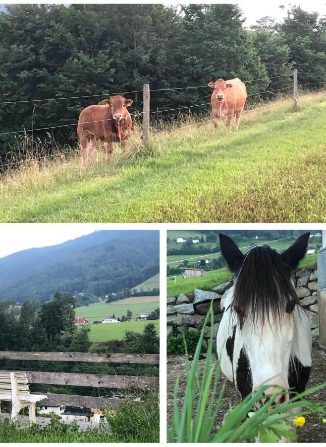 Ferienhaus Am Traunsee Mit Bergsicht Traunkirchen Εξωτερικό φωτογραφία